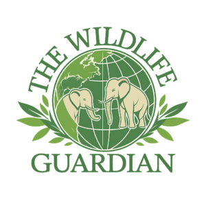 Guardian Packages logo transparent