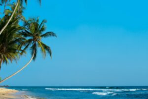 A peaceful tropical beach with palm trees and a clear blue sky in Unawatuna, Sri Lanka.