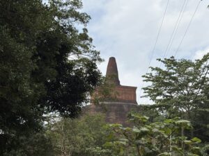img 4806