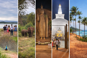sri lanka family adventure and wildlife tour