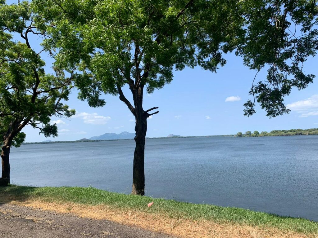 whatsapp image 2026 04 14 at 6.47.42 am