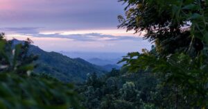Breathtaking view of Ella's lush mountains and foliage under a serene twilight sky.