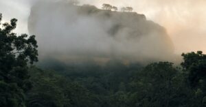 Discover the mystical beauty of Sigiriya Rock engulfed in morning fog, surrounded by lush greenery.