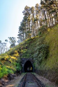 Beautiful railway tunnel surrounded by lush greenery in Sri Lanka, perfect for travel and nature enthusiasts.