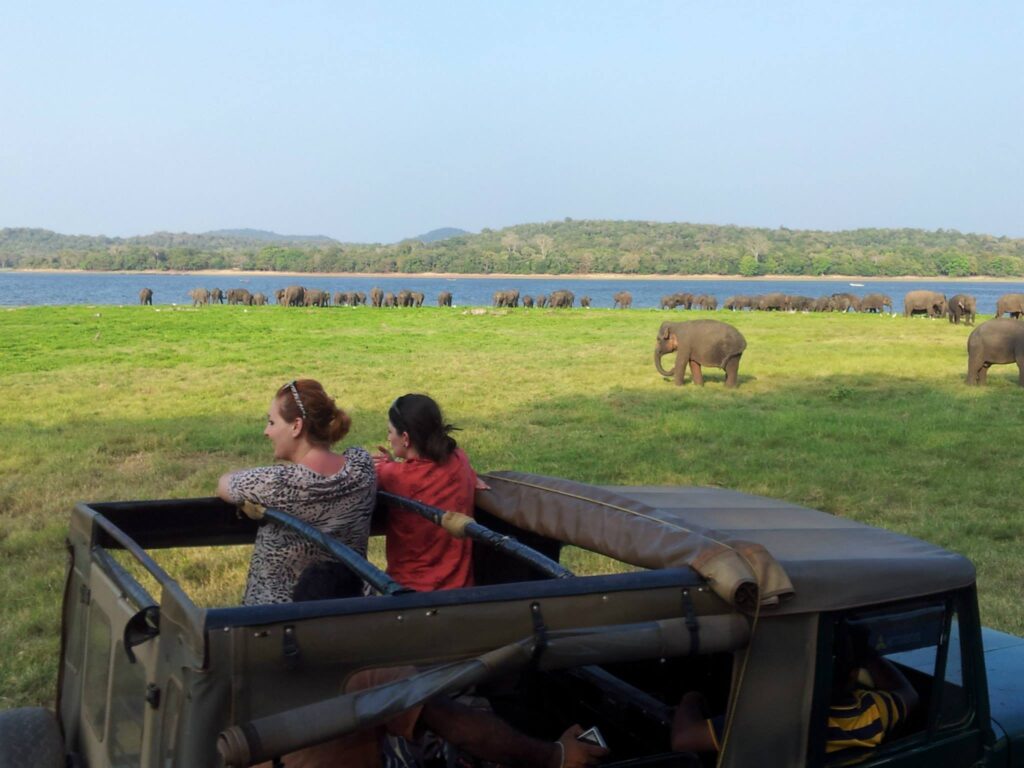 Minneriya Sri Lanka Great Elephant Gathering | Asian Elephants & Wildlife Sri Lanka Great Elephant Gathering at Minneriya and Kaudulla National Parks in Sri Lanka