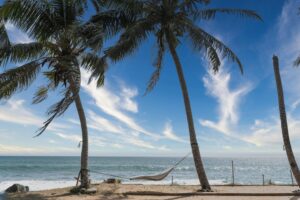 Relax under palm trees on a sandy beach in Hikkaduwa, Sri Lanka. Perfect escape to nature.