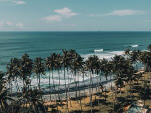 Picturesque aerial view of turquoise waving sea washing sandy shore with tropical palms on resort under blue sky