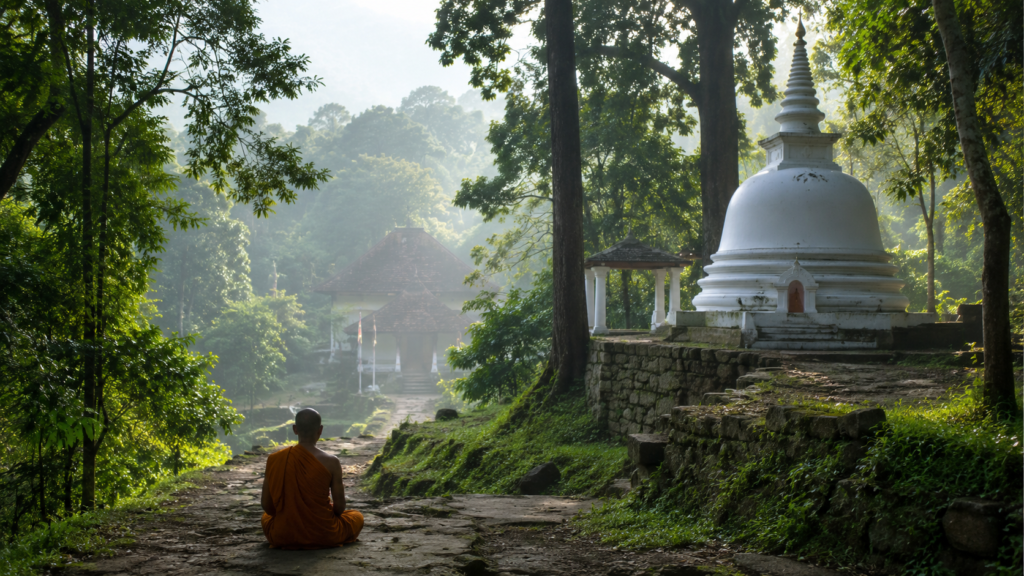 wellness retreat sri lanka