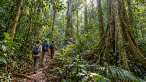 Sinharaja Forest