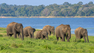 World Tourism Day