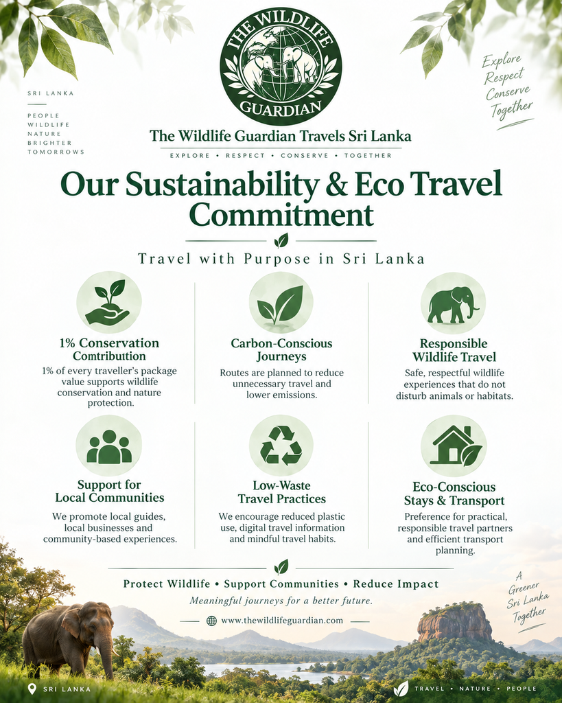 sustainability best practices